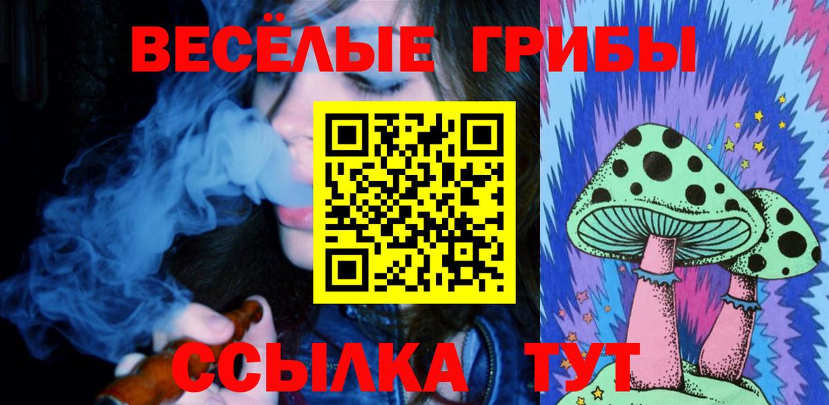 цена   Вход с VPN  Можга  Галлюциногенные грибы Psilocybe 